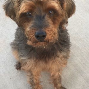 Meet your Posher, Nikie